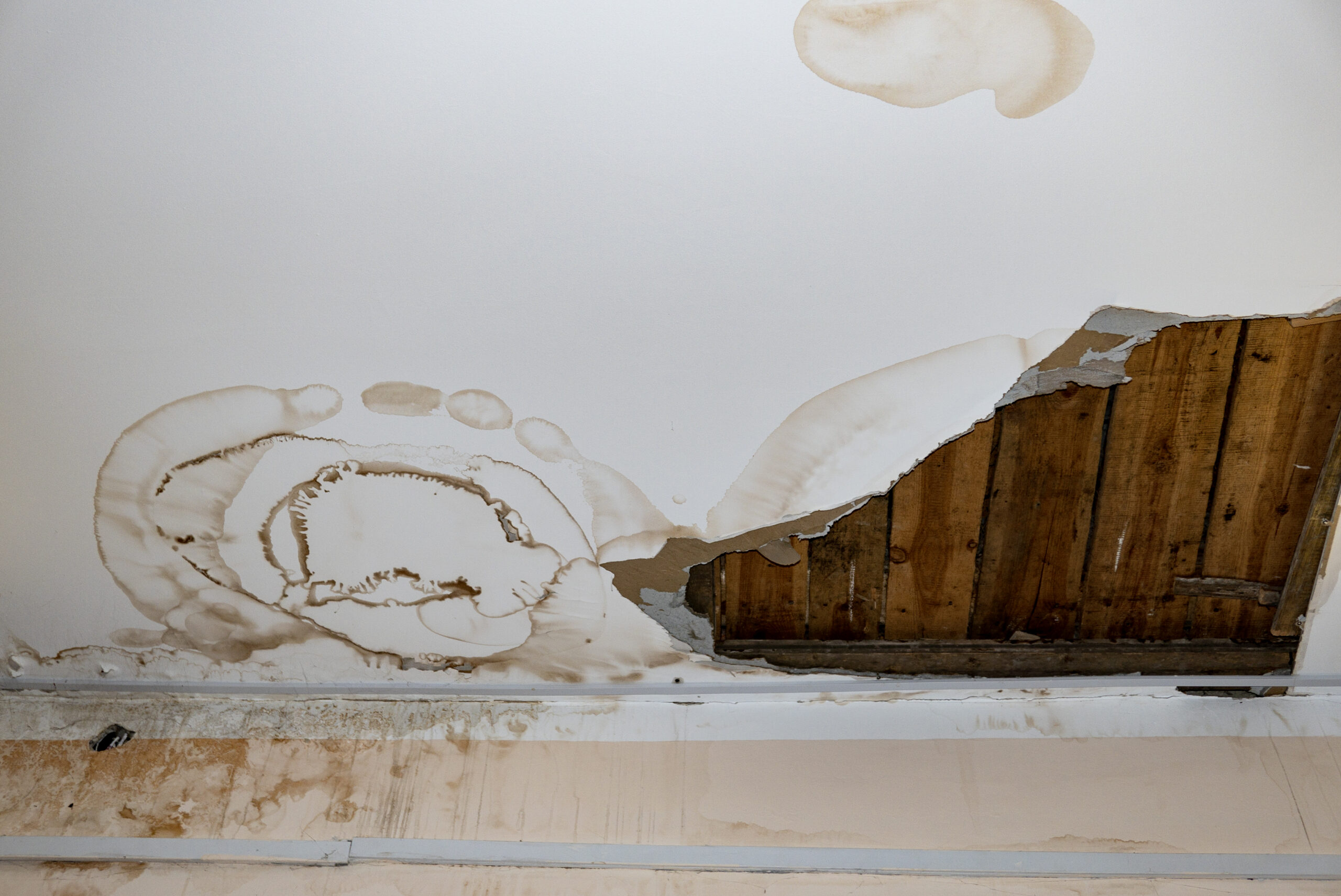 How to Spot Water Damage Early and What Repairs Usually Cost